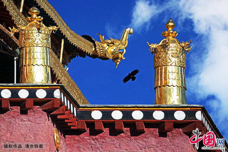 Photo shows the Gedan Songzanlin Lamasery, known as a 'mini-Potala Palace,' in Shangri-La County, southwest China's Yunnan Province. 