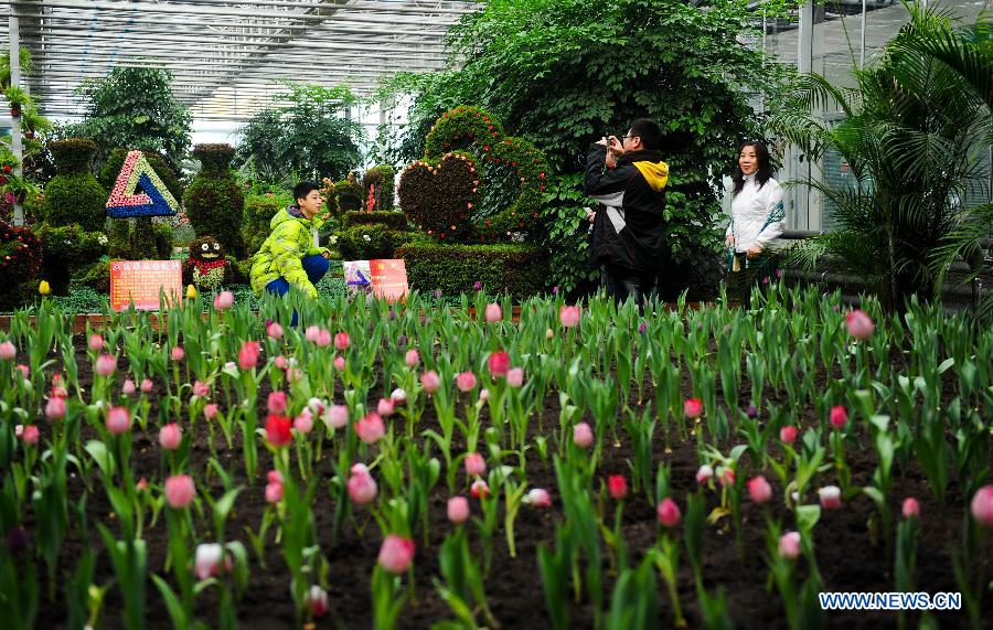 Visitors pose for photo in a garden during the 4th Jilin Agricultural Expo for Winter in Changchun, capital of northeast China's Jilin Province, Jan. 16, 2013.