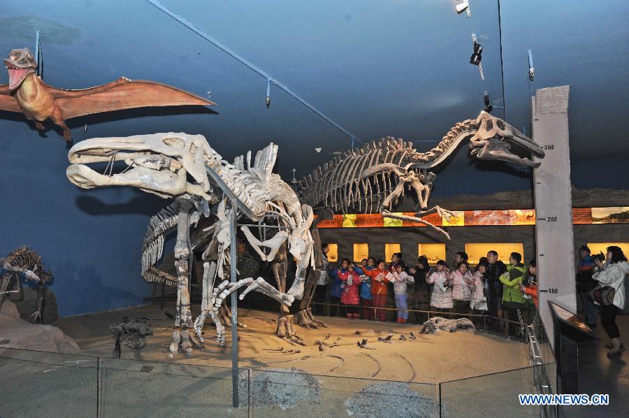 Children look at the fossils of dinosaurs at the science experience hall for youths in the Heilongjiang Museum in Harbin, capital of northeast China's Heilongjiang Province, Jan. 15, 2013. 