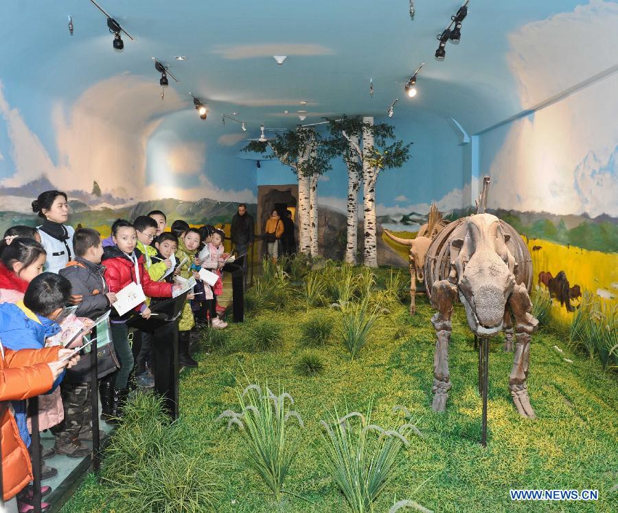 Children look at the fossils of dinosaurs at the science experience hall for youths in the Heilongjiang Museum in Harbin, capital of northeast China's Heilongjiang Province, Jan. 15, 2013. 