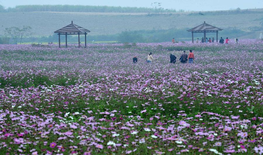 CHINA-GUANGXI-NANNING-KELSANG FLOWERS (CN)