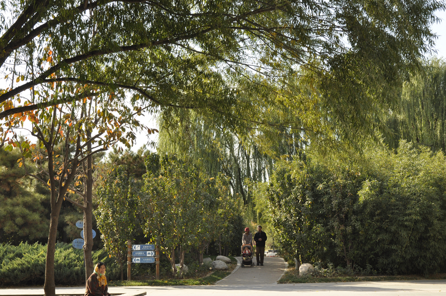 Photo shows the beautiful scenery in Beixiaohe Park, Chaoyang District, Beijing. [by Jiang Jiang/ China.org.cn]