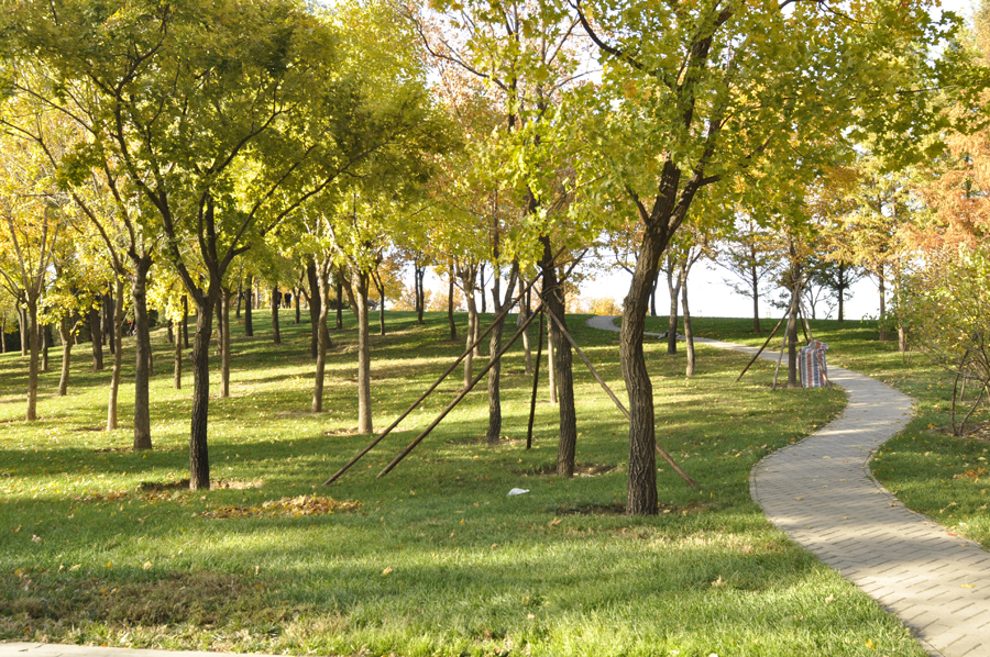 Photo shows the beautiful scenery in Beixiaohe Park, Chaoyang District, Beijing. [by Jiang Jiang/ China.org.cn]