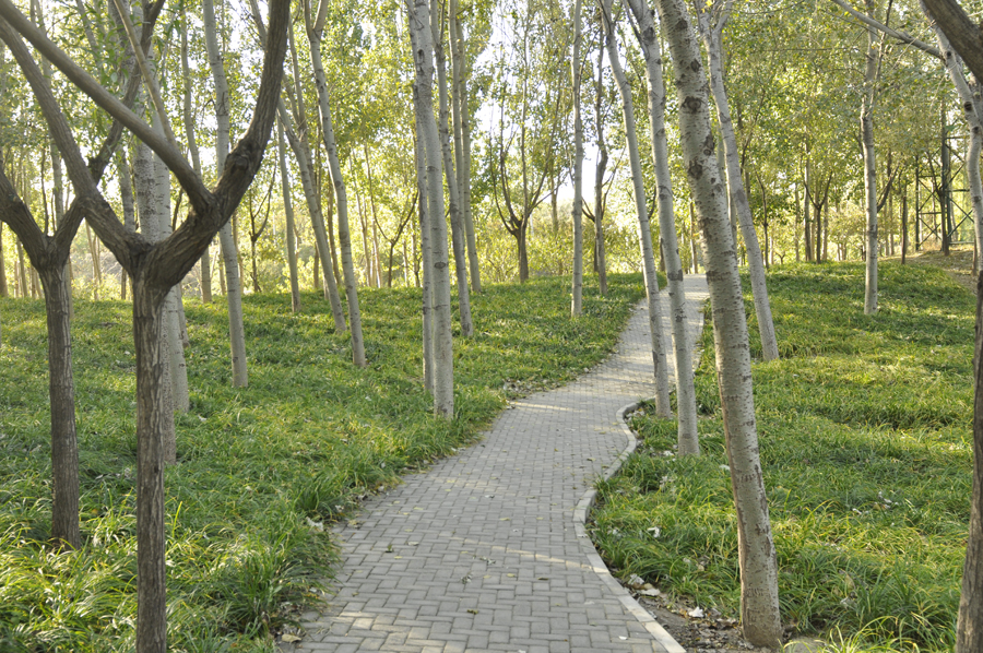 Photo shows the beautiful scenery in Beixiaohe Park, Chaoyang District, Beijing. [by Jiang Jiang/ China.org.cn]