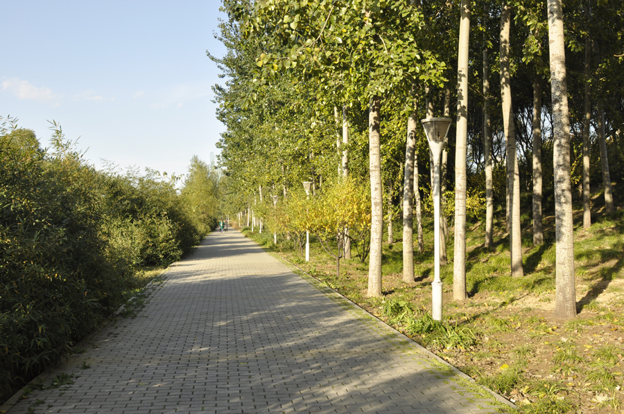 Photo shows the beautiful scenery in Beixiaohe Park, Chaoyang District, Beijing. [by Jiang Jiang/ China.org.cn]