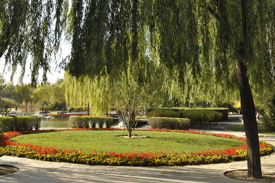 Photo shows the beautiful scenery in Beixiaohe Park, Chaoyang District, Beijing. [by Jiang Jiang/ China.org.cn]