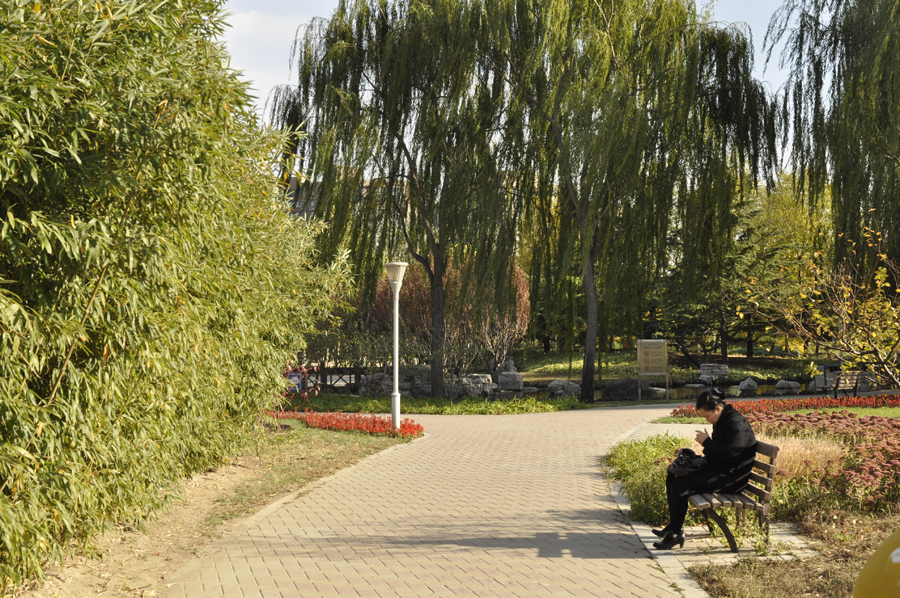 Photo shows the beautiful scenery in Beixiaohe Park, Chaoyang District, Beijing. [by Jiang Jiang/ China.org.cn]