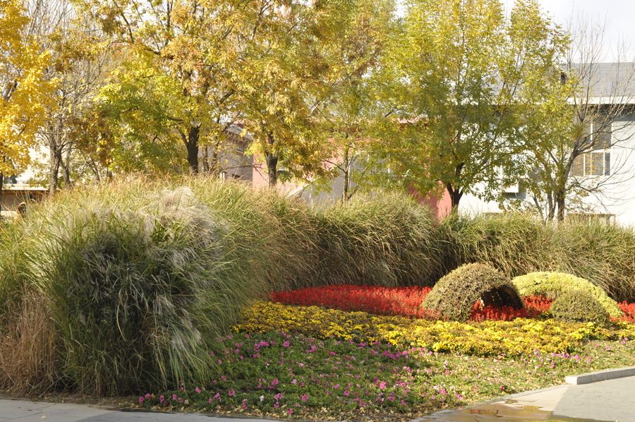 Photo shows the beautiful scenery in Beixiaohe Park, Chaoyang District, Beijing. [by Jiang Jiang/ China.org.cn]