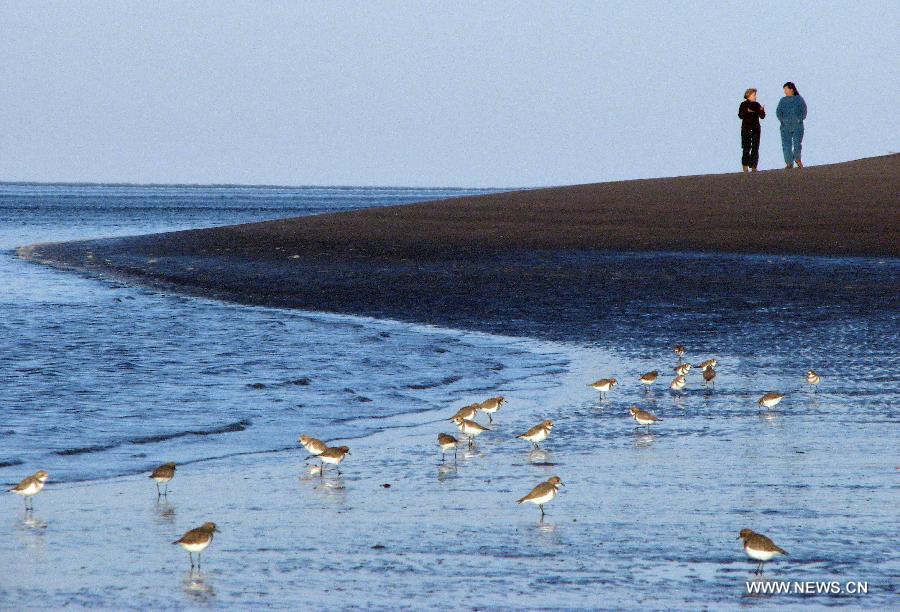 ARGENTINA-VIEDMA-ENVIRONMENT-WILDLIFE