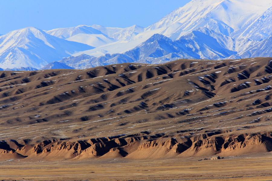 CHINA-GANSU-WILD ANIMALS (CN)