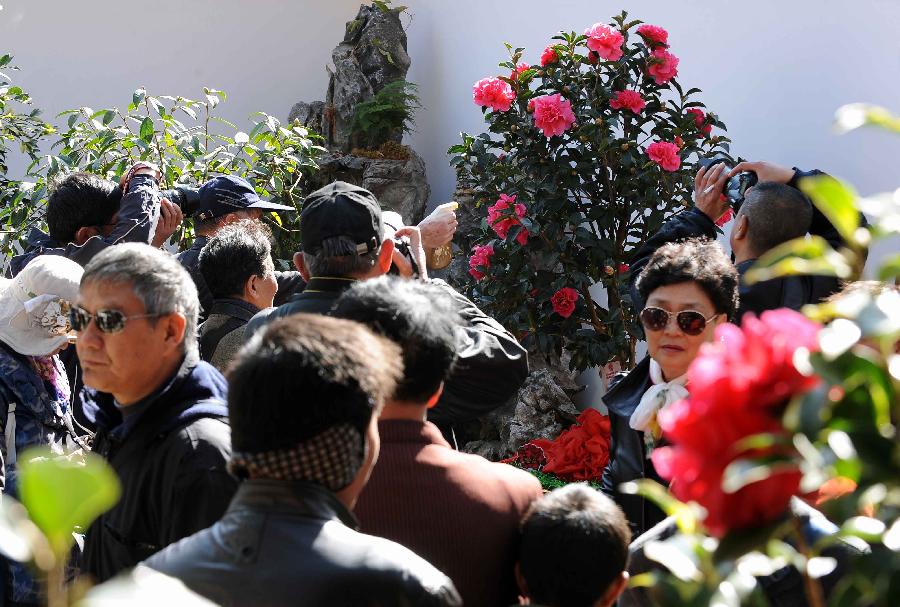 CHINA-YUNNAN-KUNMING-CAMELLIA FLOWER FESTIVAL(CN)