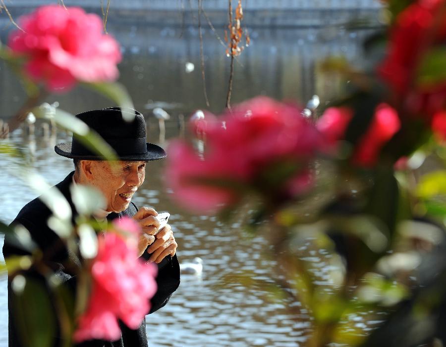 CHINA-YUNNAN-KUNMING-CAMELLIA FLOWER FESTIVAL(CN)