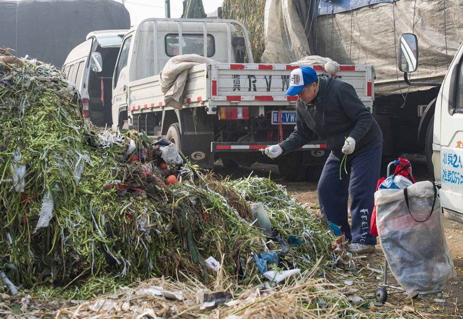 An old man picks up edible vegetable from trash piled up in Xinfadi Vegetable Wholesale Market, Beijing, on Jan. 18, 2013. [Xinhua]