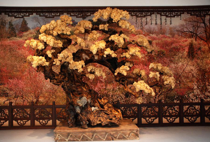 Photo taken on Jan. 23, 2013 shows a root carving work at China Plum Blossom Art Center in Nanjing, capital of east China&apos;s Jiangsu Province. The China Plum Blossom Art Center with the theme of plum blossom will be officially open to the public in February this year. 