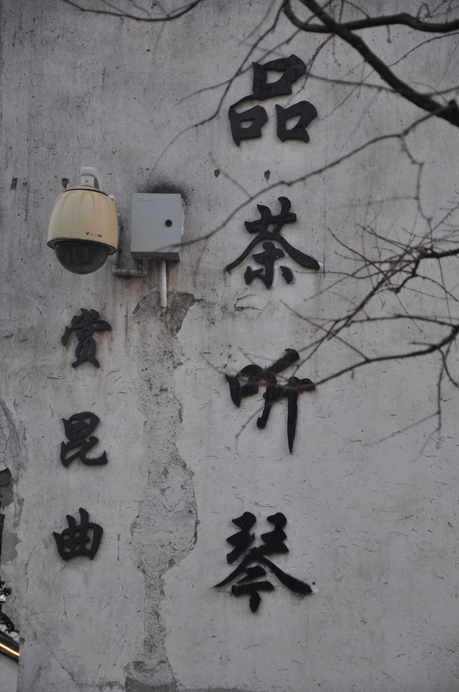 Located in downtown Suzhou, Jiangsu Province, Pingjiang Street is a historical road along the river, where the city's history and unique feature have been well-preserved. 