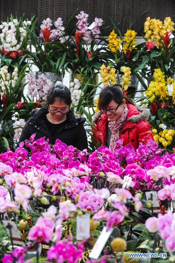 CHINA-ZHEJIANG-HANGZHOU-LUNAR NEW YEAR-FLOWERS (CN)