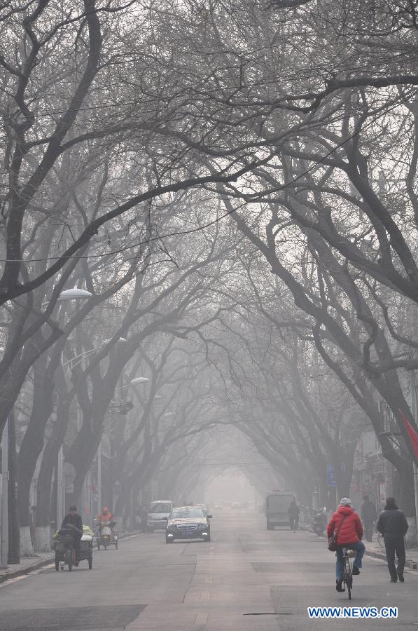 People travel in the street shrouded by fog in Beijing, capital of China, Jan. 28, 2013. The National Meteorological Center (NMC) issued a blue-coded alert on Jan. 27 as foggy weather forecast for the coming two days will cut visibility and worsen air pollution in some central and eastern Chinese cities. 