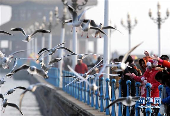 Zhanqiao Pier in Qingdao