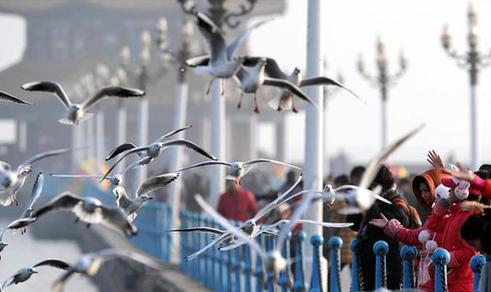Zhanqiao Pier in Qingdao