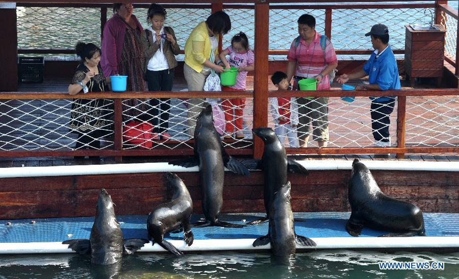 Tourists feed seals at the Boundary Island scenic area in Lingshui Yi Autonomous County in south China's Hainan Province, Jan. 30, 2013. Hainan launched tourism promotion with the theme of fresh air, to attract visitors from northern China where heavy haze lingered recently. (Xinhua/Zhao Yingquan) 