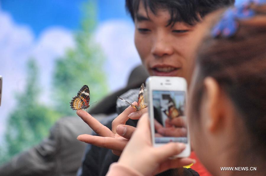 CHINA-HUNAN-CHANGSHA-BUTTERFLIES (CN) 