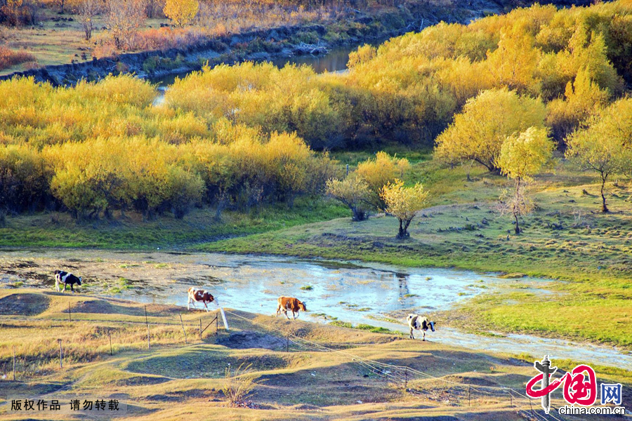 Ergune or Argun is the river which is a part of the Russia–China border. Its length is 1,620 km. The river flows from the Western slope of the Greater Khingan Range in Inner Mongolia. Its confluence with Shilka River at Ust-Strelka forms the Amur River. [China.org.cn]