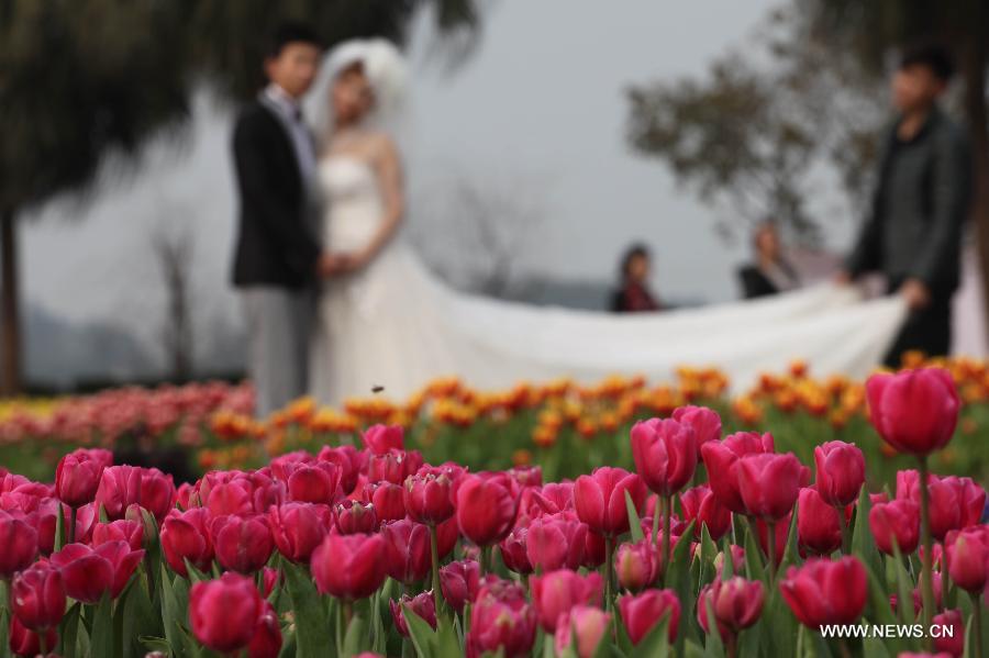 #CHINA-CHONGQING-TULIP (CN)