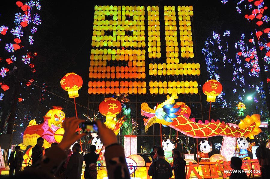 Illuminations are seen during a preview of the 19th Zigong International Dinosaur Lantern Festival in Zigong, southwest China's Sichuan Province, Feb. 2, 2013.