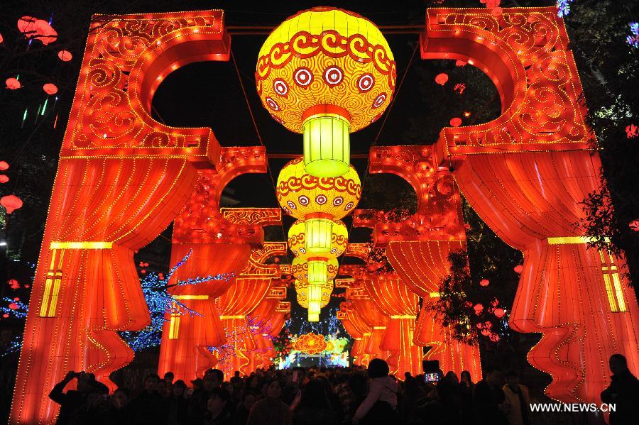 Illuminations are seen during a preview of the 19th Zigong International Dinosaur Lantern Festival in Zigong, southwest China's Sichuan Province, Feb. 2, 2013. 