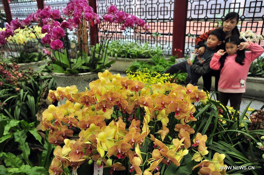 Visitors view flowers at a phalaenopsis exhibition in Taipei, southeast China's Taiwan, Feb. 3, 2013. 