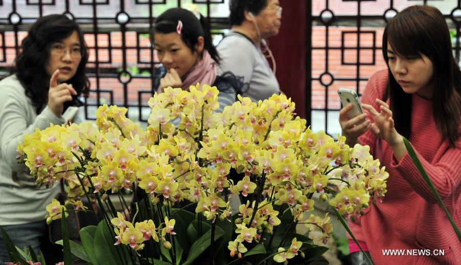 Visitors view flowers at a phalaenopsis exhibition in Taipei, southeast China's Taiwan, Feb. 3, 2013. 