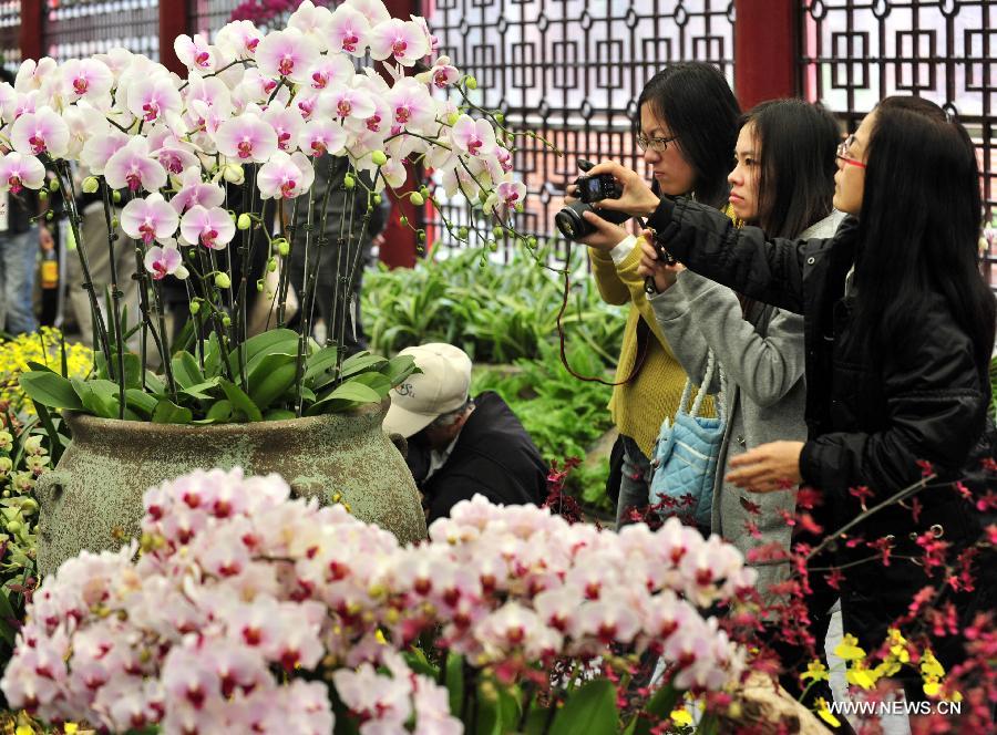 Visitors view flowers at a phalaenopsis exhibition in Taipei, southeast China's Taiwan, Feb. 3, 2013. 