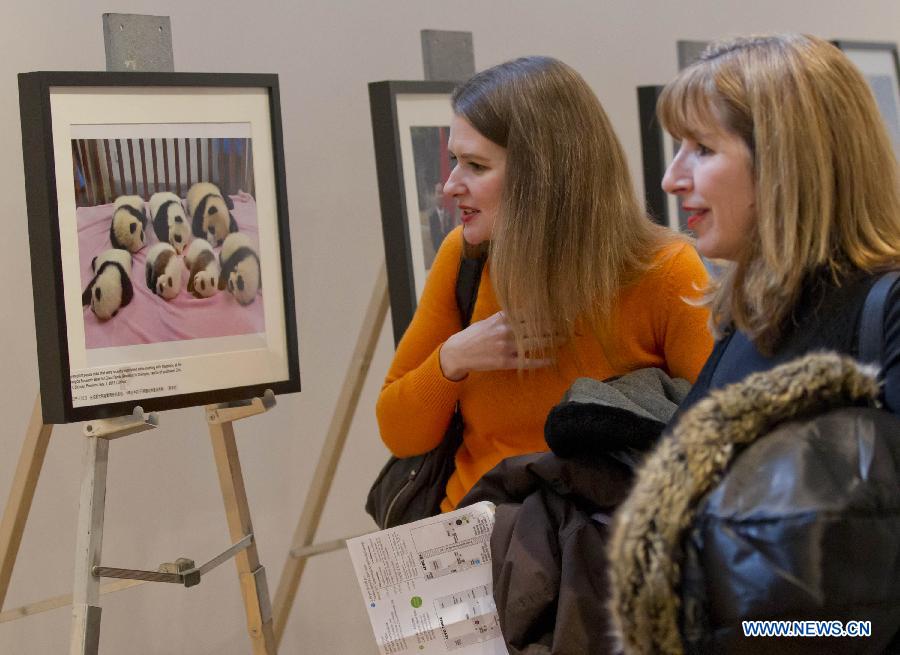 Visitors look at giant panda photos during the Chinese Cultural Heritage Day event at the Royal Ontario Museum in Toronto, Canada, Feb. 2, 2013.