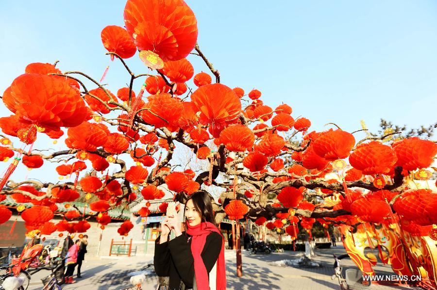 A tourist takes photos under red lanterns in the Temple of Earth Park in Beijing, capital of China, Feb. 2, 2013. The Temple of Earth Park was decorated with red lanterns so as to celebrate the upcoming Spring Festival or Chinese Lunar New Year.