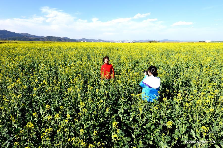 #CHINA-YUNNAN-LUOPING-RAPE FLOWERS-SCENERY (CN) 