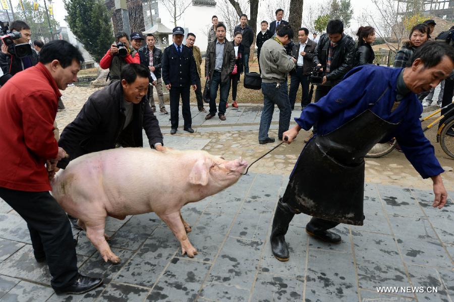 CHINA-JIANGXI-WUYUAN-XIAONIAN FESTIVAL (CN)