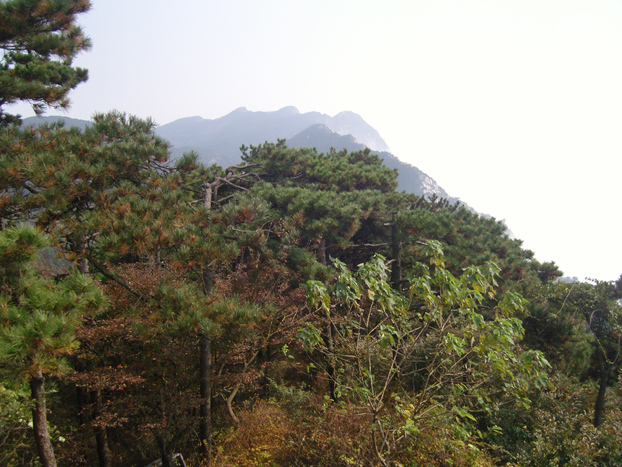 Located on the southern bank of the Yangtze River south of Jiujiang City in northern Jiangxi Province, the Lushan Mountain whole scenic area covers an area of 302 square kilometers, with the 1,474-meter Hanyang Peak as its highest summit. 