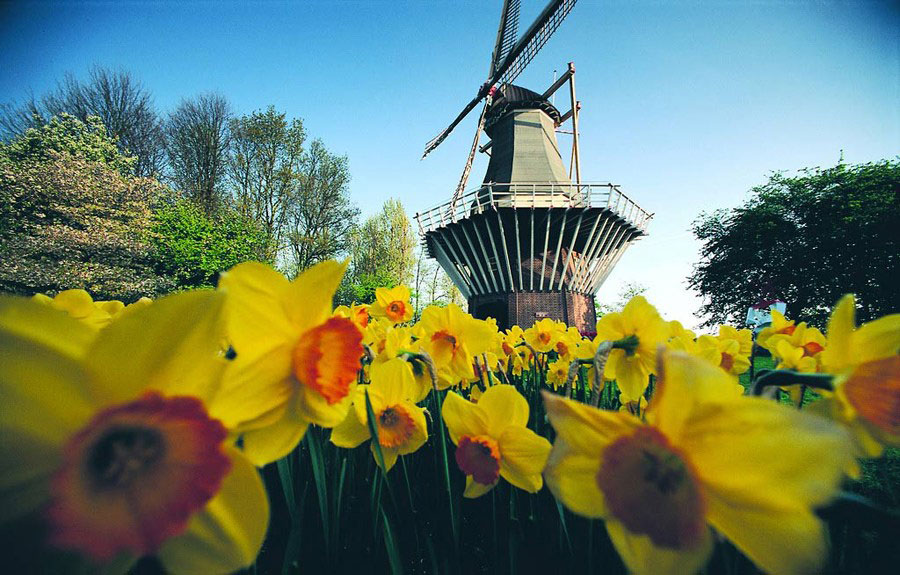 The Netherlands [Photo/Chinanews.com] 