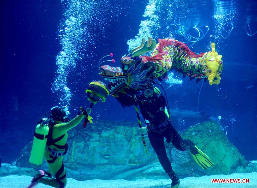 Underwater dragon dance to greet coming New Year at Beijing Aquarium 