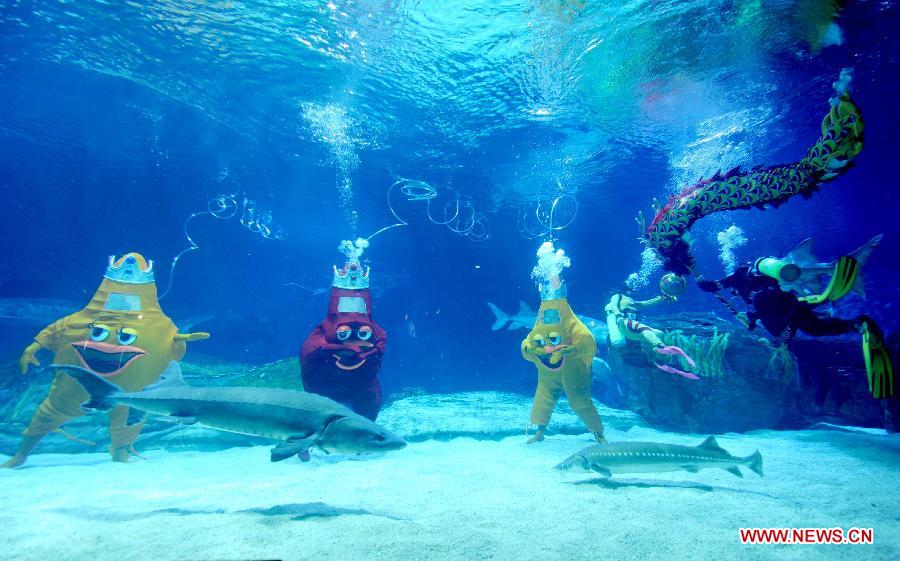 Underwater dragon dance to greet coming New Year at Beijing Aquarium 