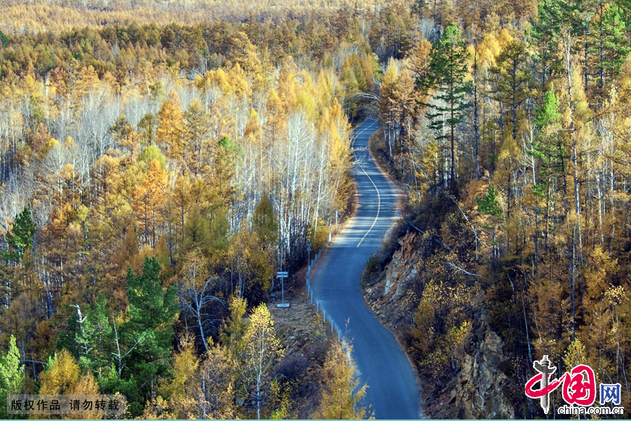 A general view shows the Moerdaoga National Forest Park in the Greater Khingan Range of North China's Inner Mongolia Autonomous Region.