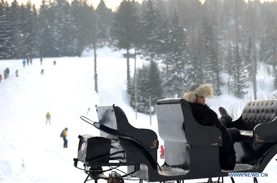 A coachman waits for tourists at the Shuangfeng Forest Farm in Mudanjiang City, northeast China's Heilongjiang Province, Feb. 2, 2013.