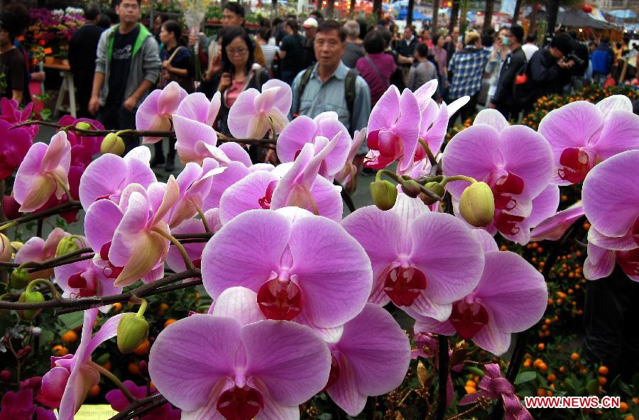 Flower decoration to embrace coming Spring Festival in Hong Kong