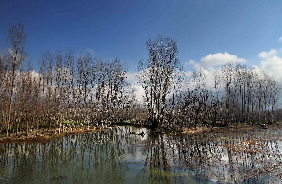 A Kashmiri man rows a boat on Dal Lake during a sunny day in Srinagar, summer capital of Indian-controlled Kashmir, Feb. 6, 2013.