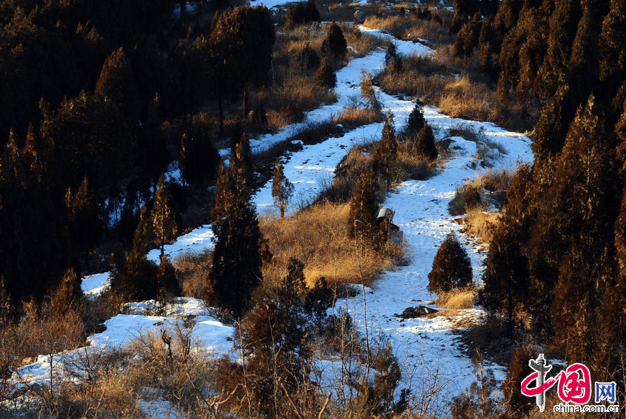 Clinging to the eastern edge of Beijing municipality rests Pinggu district, a quiet area away from the hustle and bustle of Beijing and Tianjin. It's well-known for being an agricultural sweet spot, providing sumptuous peaches and other fruit to China and beyond.[