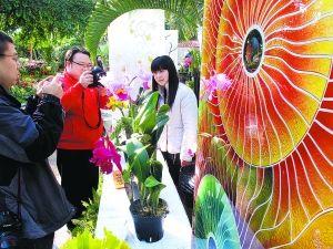 北京植物园第九届北京兰花展：万兰争春