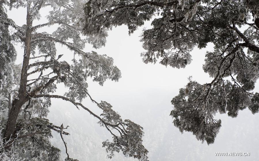 CHINA-SICHUAN-SHIMIAN-RIME SCENERY (CN) 