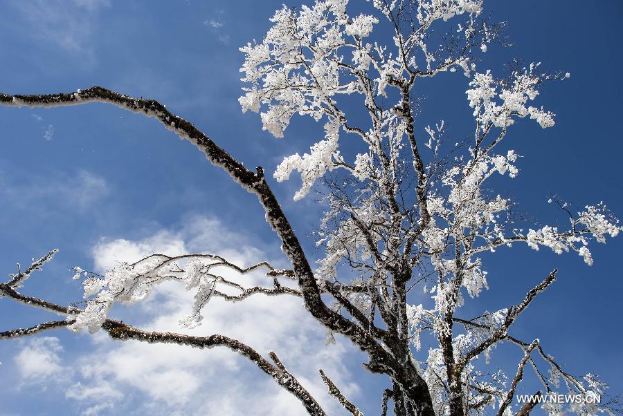 CHINA-SICHUAN-SHIMIAN-RIME SCENERY (CN) 