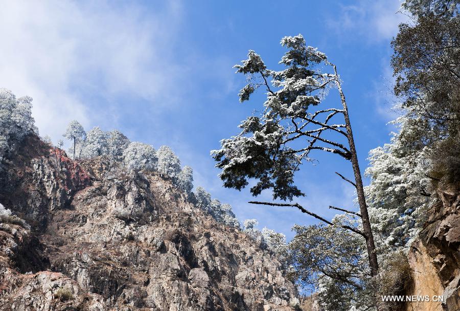 CHINA-SICHUAN-SHIMIAN-RIME SCENERY (CN) 