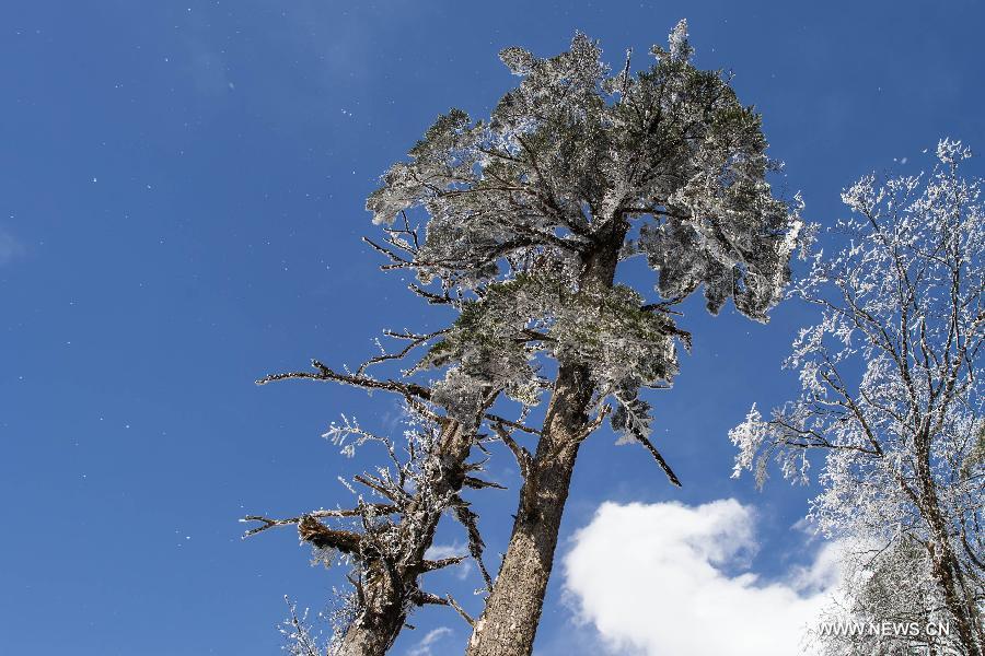 CHINA-SICHUAN-SHIMIAN-RIME SCENERY (CN) 